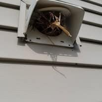 57586928_1027697100763404_715307514450673664_n